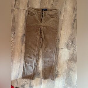 Tommy Hilfiger Brown Velvet Casual Pants